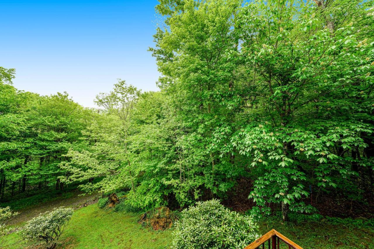 Misty Woods 03 Apartment ชูการ์เมาน์เทน ภายนอก รูปภาพ